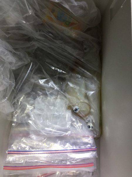 第二龍勢丸 釣果