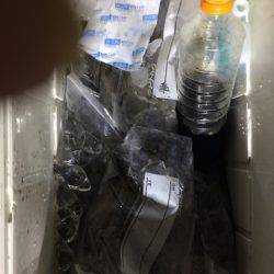 第二龍勢丸 釣果