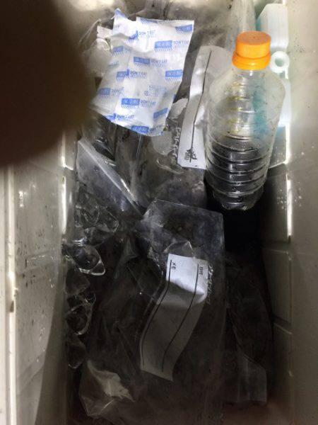 第二龍勢丸 釣果