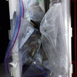 第二龍勢丸 釣果