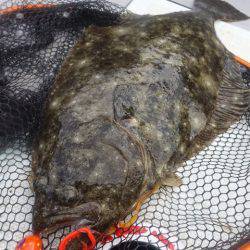 まるいち丸 ZERO-1 釣果