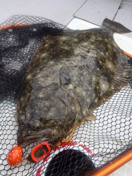 まるいち丸 ZERO-1 釣果