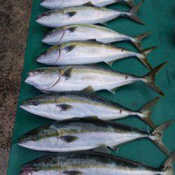 まるいち丸 ZERO-1 釣果