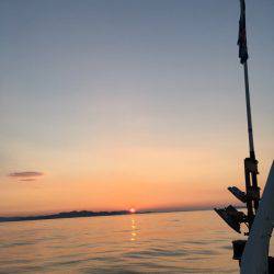 渡船屋たにぐち 釣果