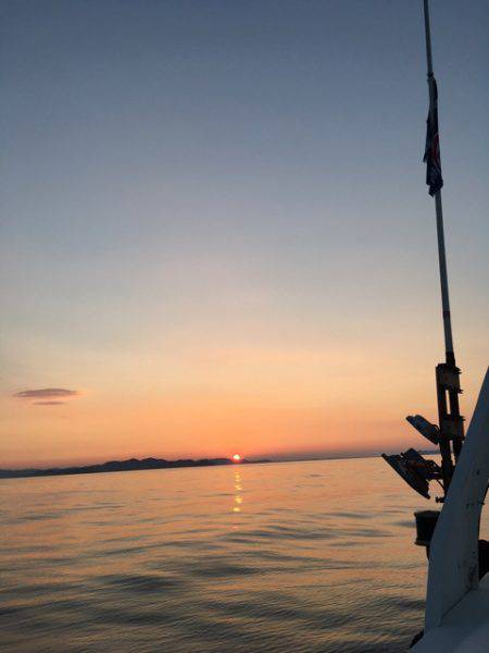 渡船屋たにぐち 釣果