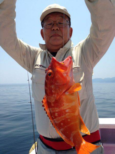 晃山丸 釣果