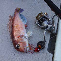 まるいち丸 ZERO-1 釣果