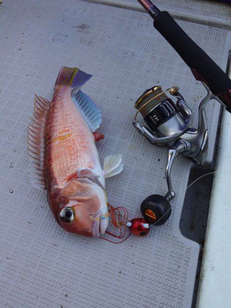 まるいち丸 ZERO-1 釣果