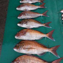 まるいち丸 ZERO-1 釣果