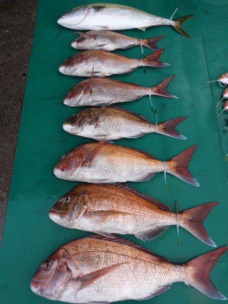 まるいち丸 ZERO-1 釣果