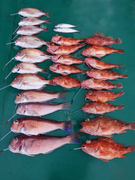 まるいち丸 ZERO-1 釣果