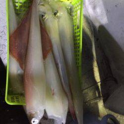 第二龍勢丸 釣果