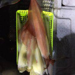 第二龍勢丸 釣果