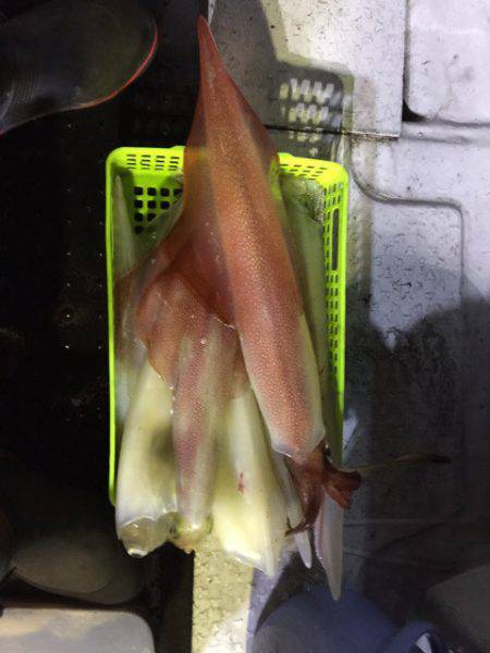 第二龍勢丸 釣果