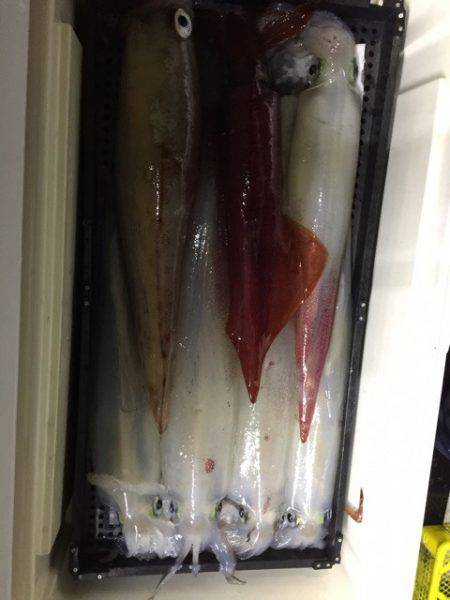 第二龍勢丸 釣果