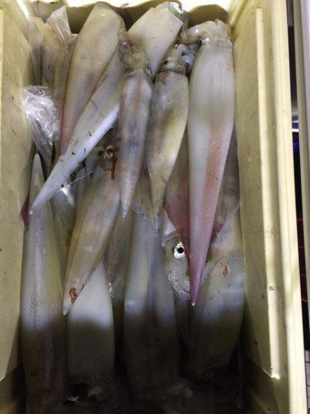 第二龍勢丸 釣果