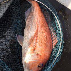 第二龍勢丸 釣果