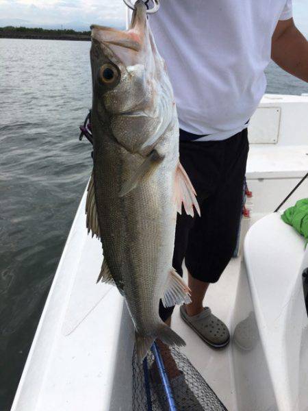 うさぎ丸 釣果