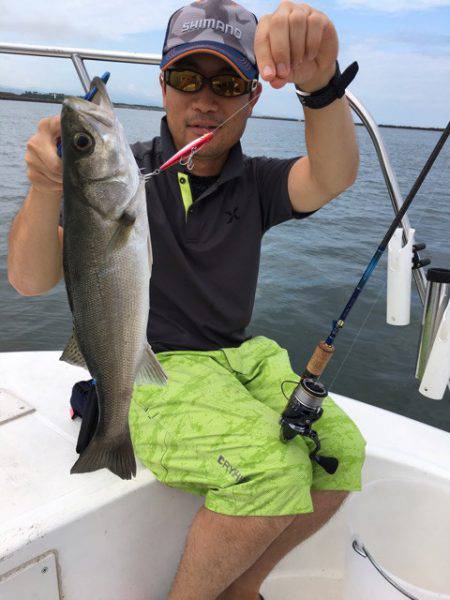 うさぎ丸 釣果
