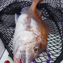 まるいち丸 ZERO-1 釣果