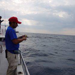 まるいち丸 ZERO-1 釣果