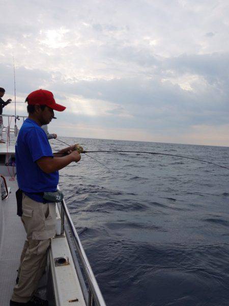 まるいち丸 ZERO-1 釣果