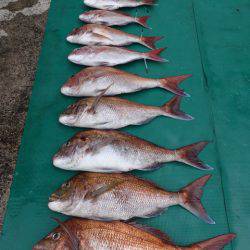 まるいち丸 ZERO-1 釣果