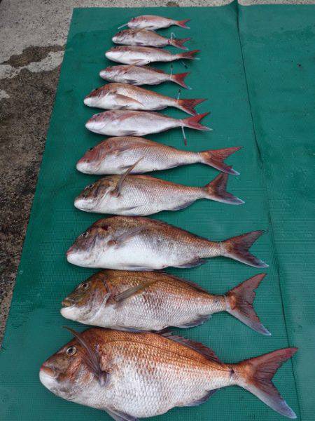 まるいち丸 ZERO-1 釣果