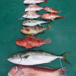 まるいち丸 ZERO-1 釣果