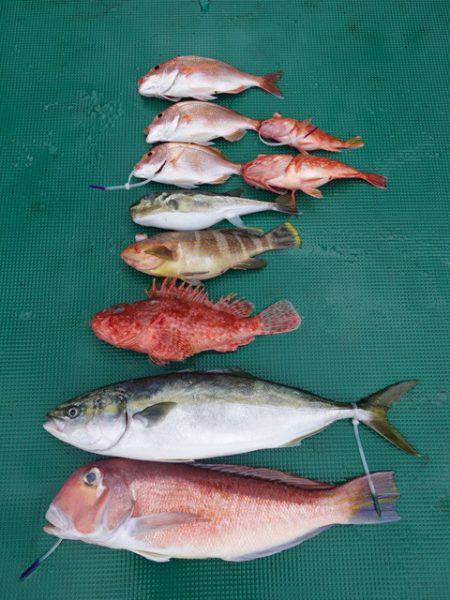 まるいち丸 ZERO-1 釣果