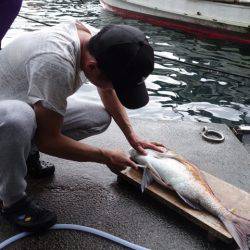 まるいち丸 ZERO-1 釣果