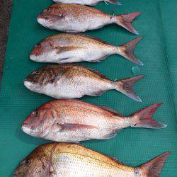 まるいち丸 ZERO-1 釣果