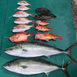 まるいち丸 ZERO-1 釣果