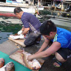 まるいち丸 ZERO-1 釣果