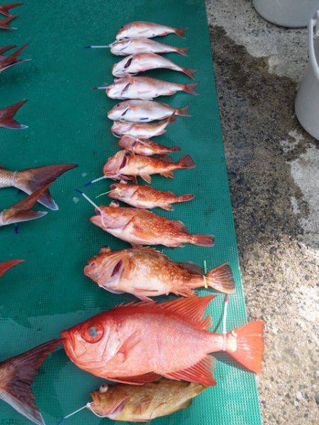 まるいち丸 ZERO-1 釣果