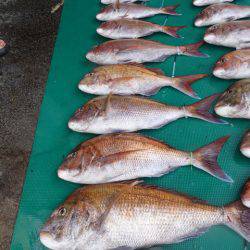 まるいち丸 ZERO-1 釣果