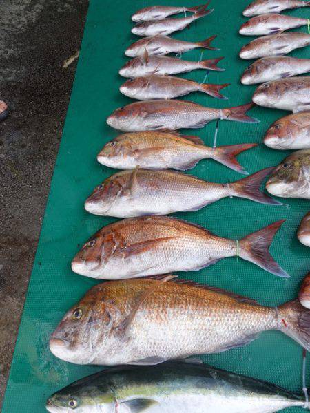 まるいち丸 ZERO-1 釣果