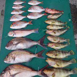 まるいち丸 ZERO-1 釣果