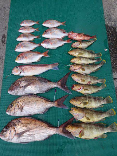 まるいち丸 ZERO-1 釣果