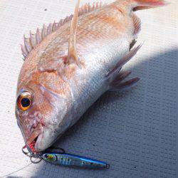 まるいち丸 ZERO-1 釣果