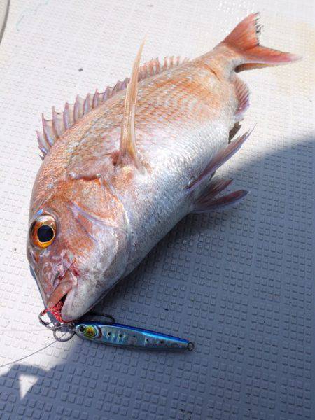 まるいち丸 ZERO-1 釣果