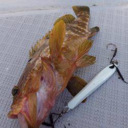 まるいち丸 ZERO-1 釣果