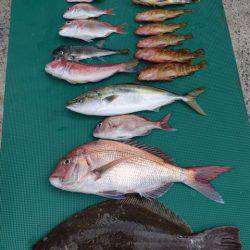 まるいち丸 ZERO-1 釣果