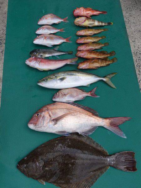 まるいち丸 ZERO-1 釣果