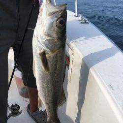 うさぎ丸 釣果