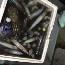 ＴＡＲＯＭＡＲＵ 釣果