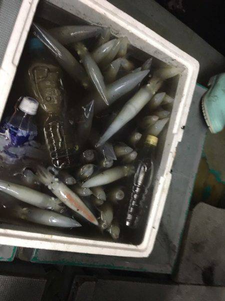 ＴＡＲＯＭＡＲＵ 釣果