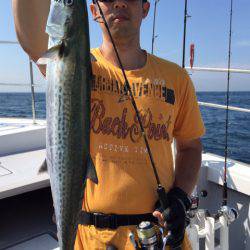 ビッグファイター 釣果