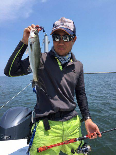 うさぎ丸 釣果