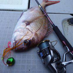 まるいち丸 ZERO-1 釣果